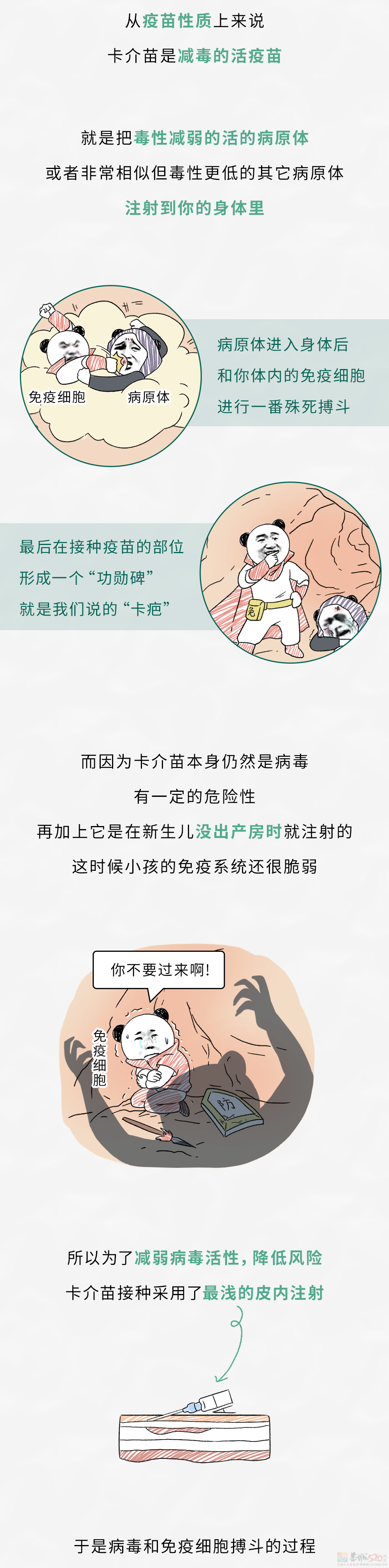 小时候打完针留在胳膊上的小花，为啥有些人有，有些人没有？？????651 / 作者:儿时的回忆 / 帖子ID:317022
