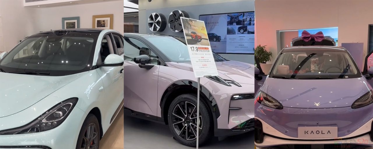 新能源大厂扎堆造“年轻人第一台车”，结果25万起步根本买不起571 / 作者:儿时的回忆 / 帖子ID:317038
