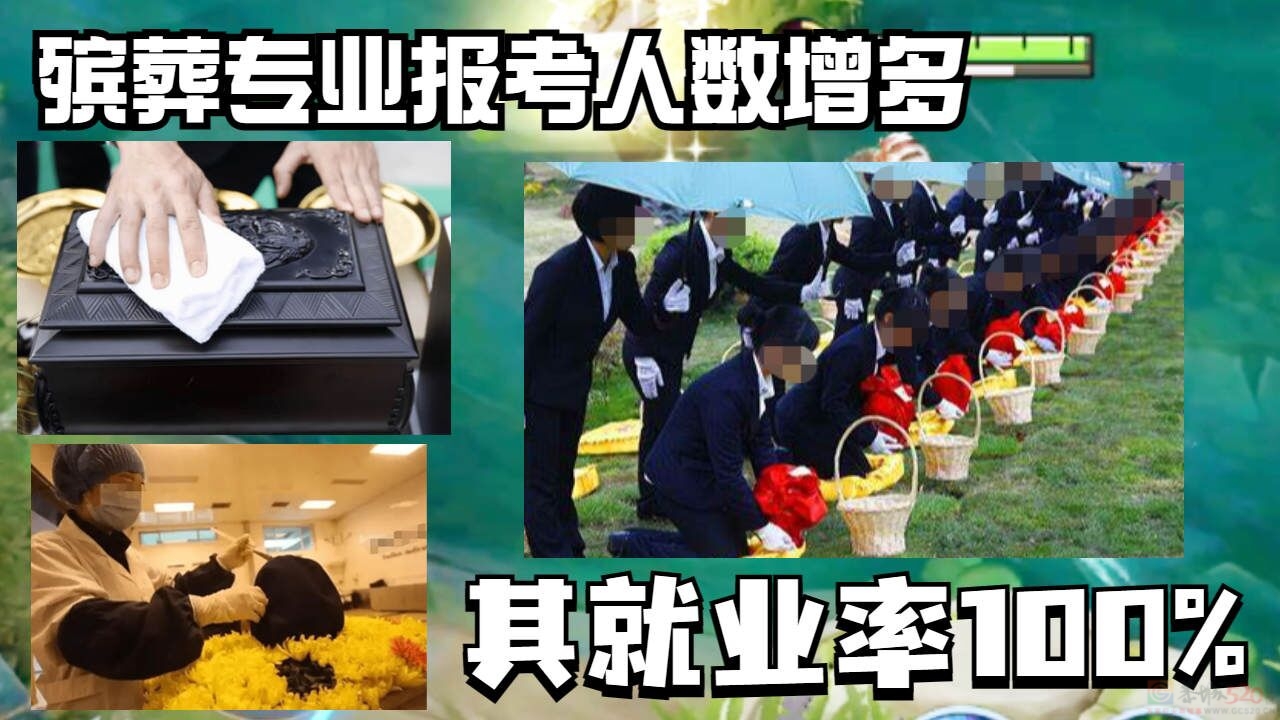 殡葬专业备受关注，你会让孩子报冷门专业吗?534 / 作者:论坛小编01 / 帖子ID:317039