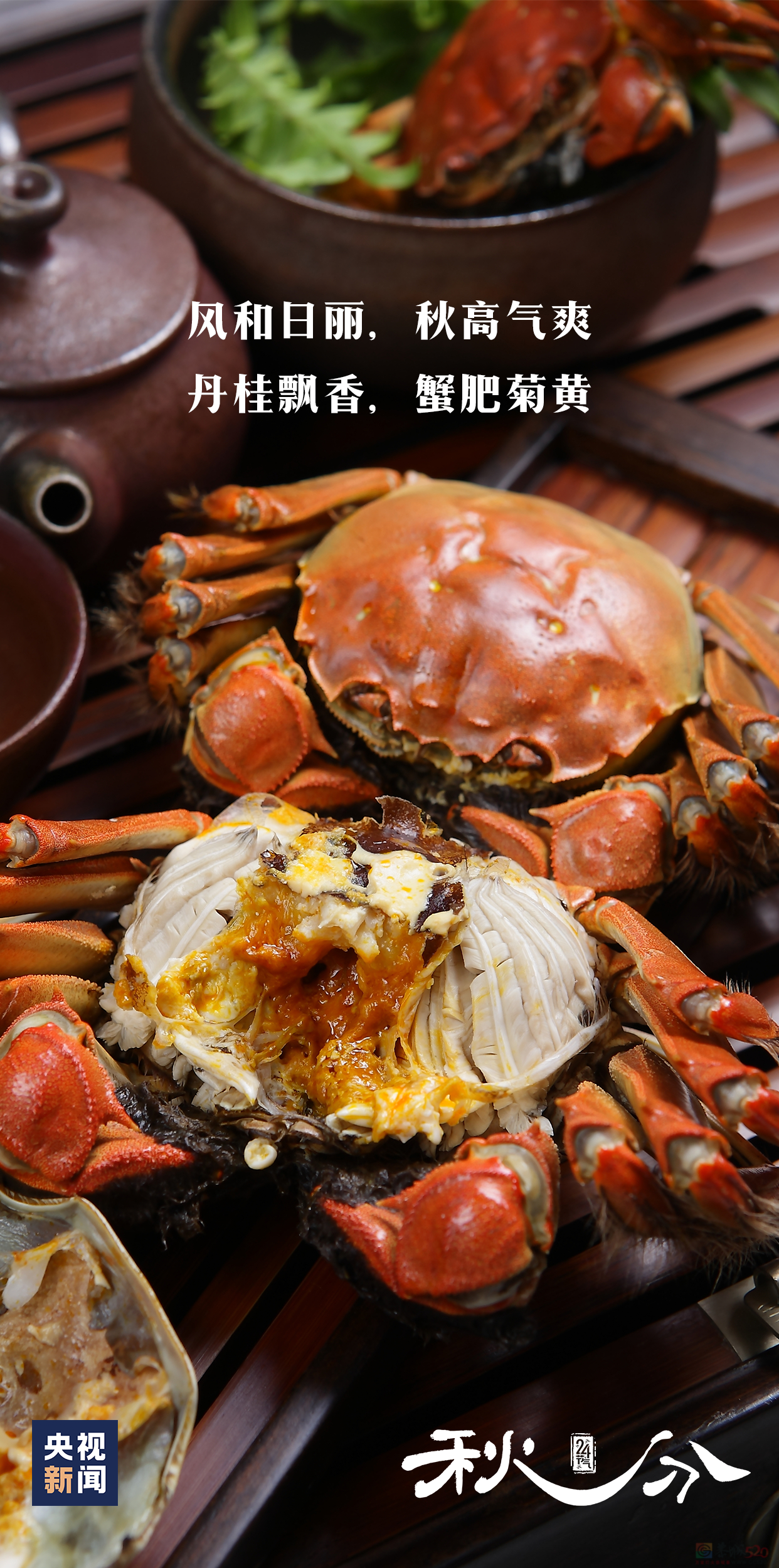 今日，秋分499 / 作者:登山涉水 / 帖子ID:317097