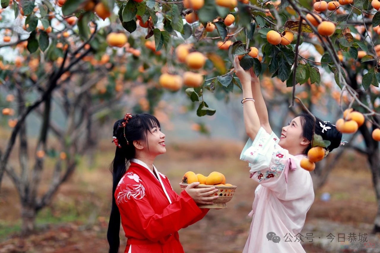 第二十一届桂林恭城月柿节活动方案来了350 / 作者:论坛小编01 / 帖子ID:317408