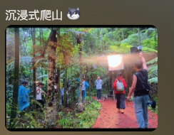 2000万粉大网红连这都“造假”，信她的网友恨自己像个傻子284 / 作者:儿时的回忆 / 帖子ID:317434