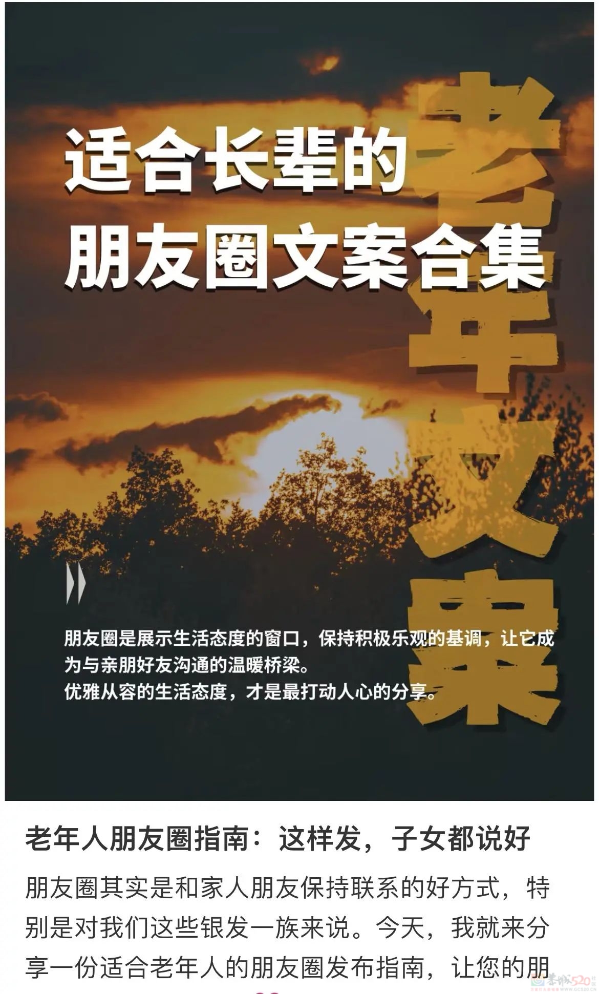 “帮爸妈抢刀郎的票”难倒全国年轻人，演唱会市场开始盯上中老年17 / 作者:儿时的回忆 / 帖子ID:317942