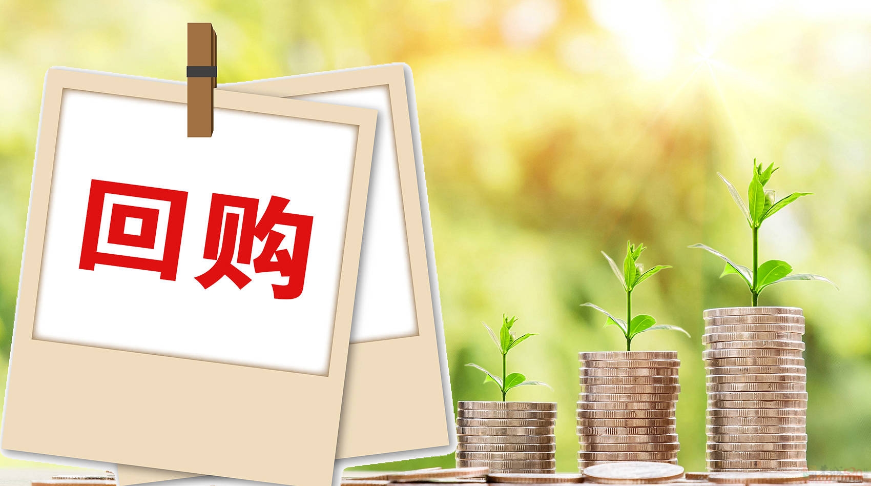 说一个你回购过三次以上的牌子462 / 作者:论坛小编01 / 帖子ID:318017