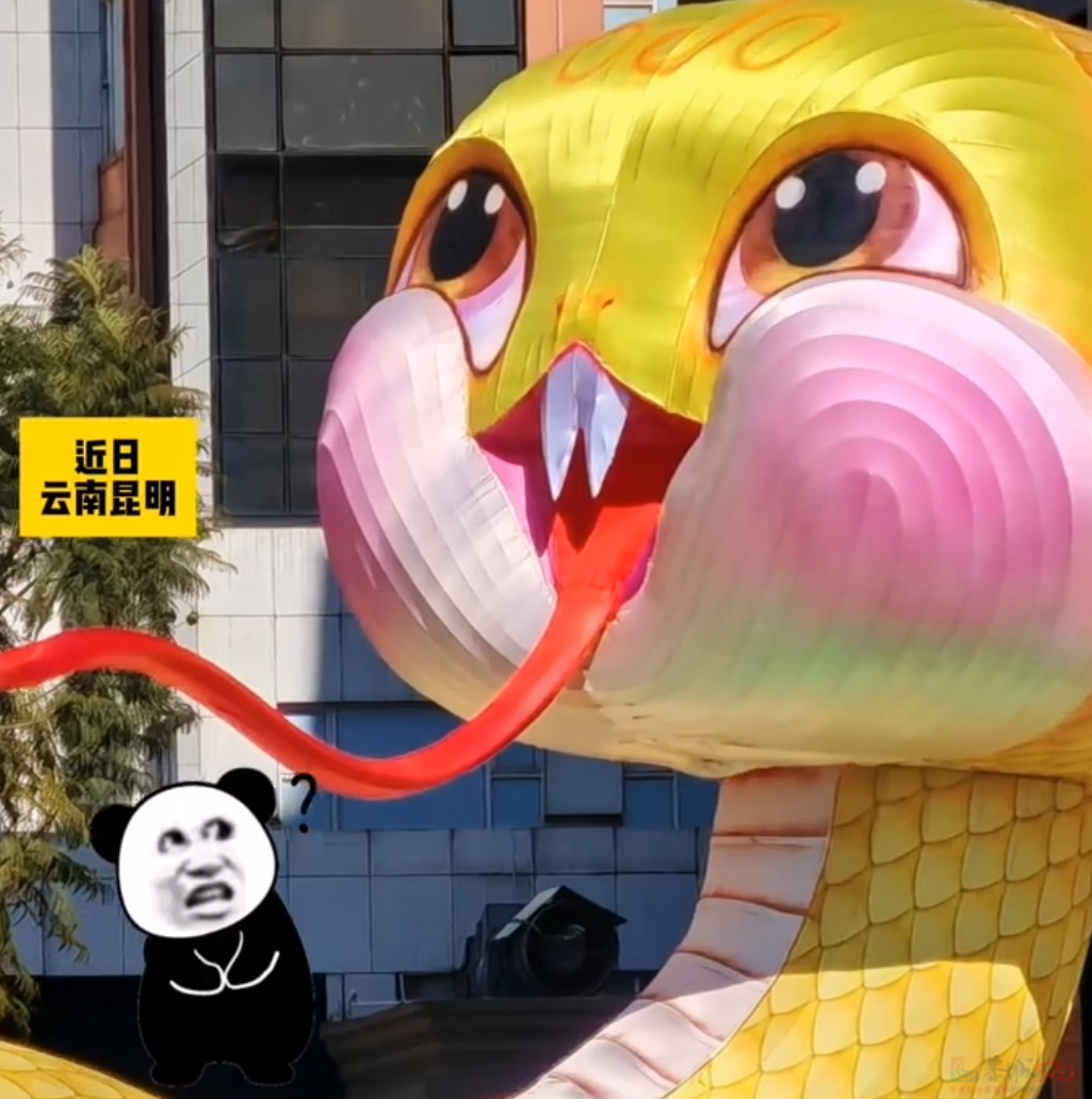 “建议十二生肖把蛇开除”，最近满大街的丑蛇装饰让怕蛇人默默碎了350 / 作者:儿时的回忆 / 帖子ID:318593