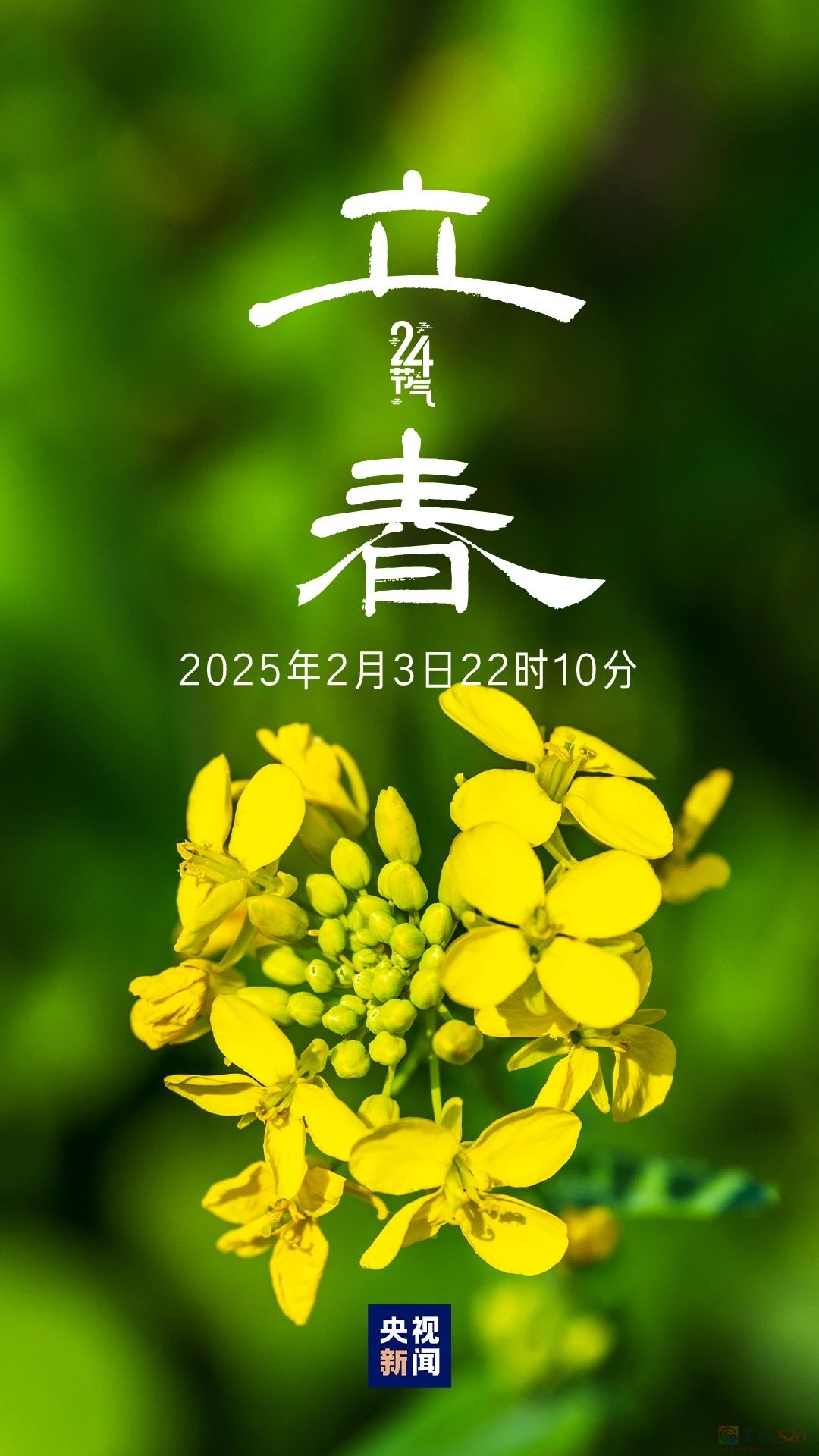 今日，立春！972 / 作者:登山涉水 / 帖子ID:318738