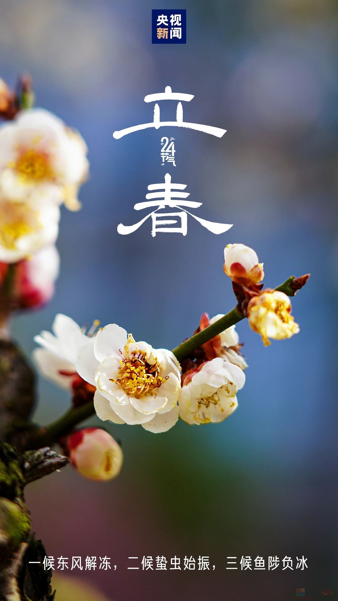 今日，立春！104 / 作者:登山涉水 / 帖子ID:318738