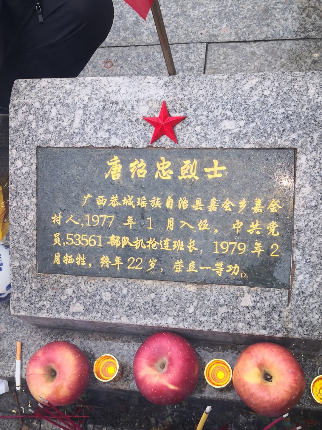 清明思亲季 祭扫英烈行891 / 作者:论坛小编01 / 帖子ID:319457