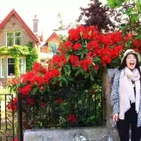 【旅行拍照姿势大全】教你旅行时如何拍的美美的~