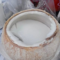 椰子冻，这种天吃最爽不过