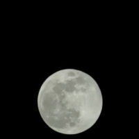好圆的月亮