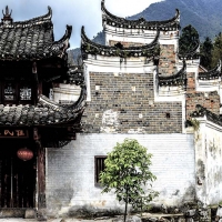 百年的记忆