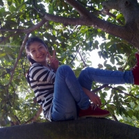 猴子爬树子
