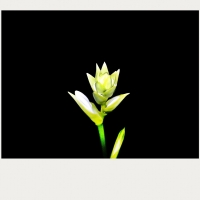 手机拍摄-夜的鲜明对比