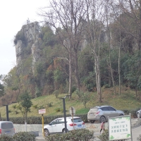 纯属乱拍的