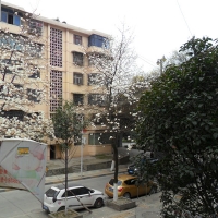 与春相约，与花相会，触摸春天