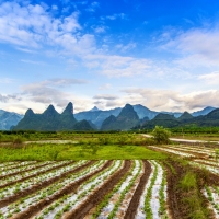 雨后天晴