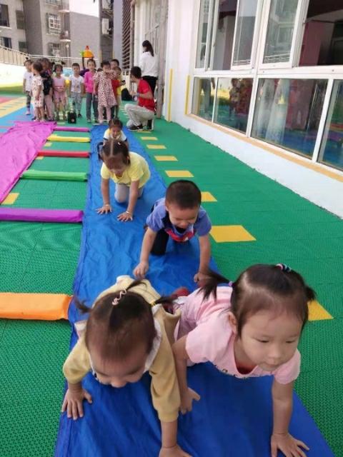 快乐宝贝幼儿园招聘:
因幼儿园发展需要，现面向社会招聘幼儿教师数名，应 ...79 / 作者:心静4 / 帖子ID:270531