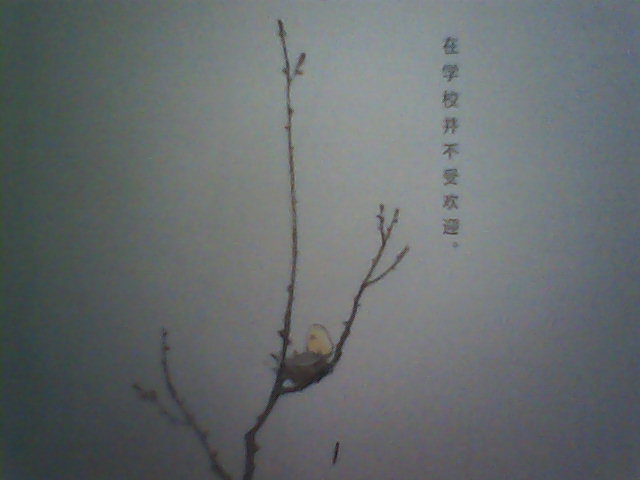 国庆节谁去钓鱼啊64 / 作者:熊熊MM / 帖子ID:132
