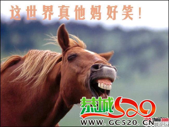 听讲恭城又出了个论坛 我从火星来报个道先~103 / 作者:莫撩我 / 帖子ID:240
