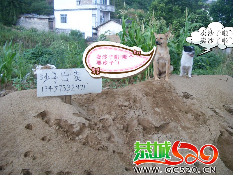带人转发373 / 作者:大卷哥 / 帖子ID:256