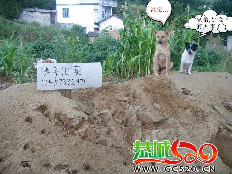 带人转发371 / 作者:大卷哥 / 帖子ID:256