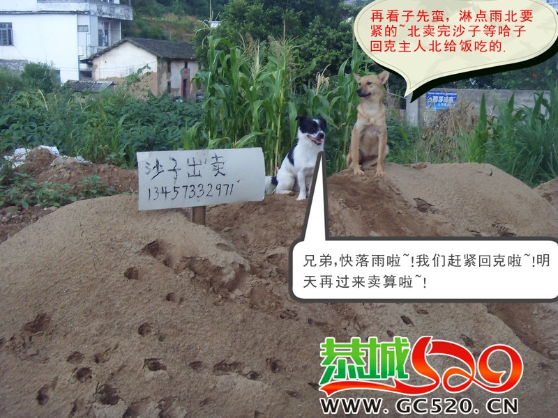带人转发739 / 作者:大卷哥 / 帖子ID:256