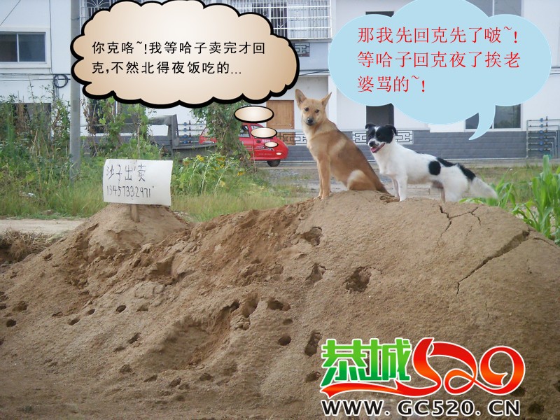 带人转发521 / 作者:大卷哥 / 帖子ID:256