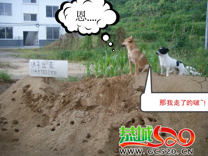 带人转发69 / 作者:大卷哥 / 帖子ID:256
