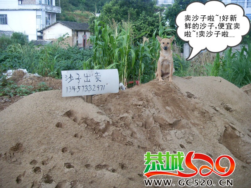 带人转发695 / 作者:大卷哥 / 帖子ID:256