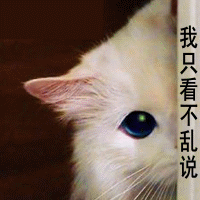 潜水王报到来啦625 / 作者:你不懂我 / 帖子ID:305
