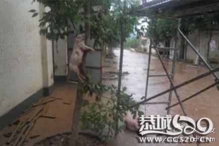 《图说》20110923——最火微博774 / 作者:图说 / 帖子ID:474