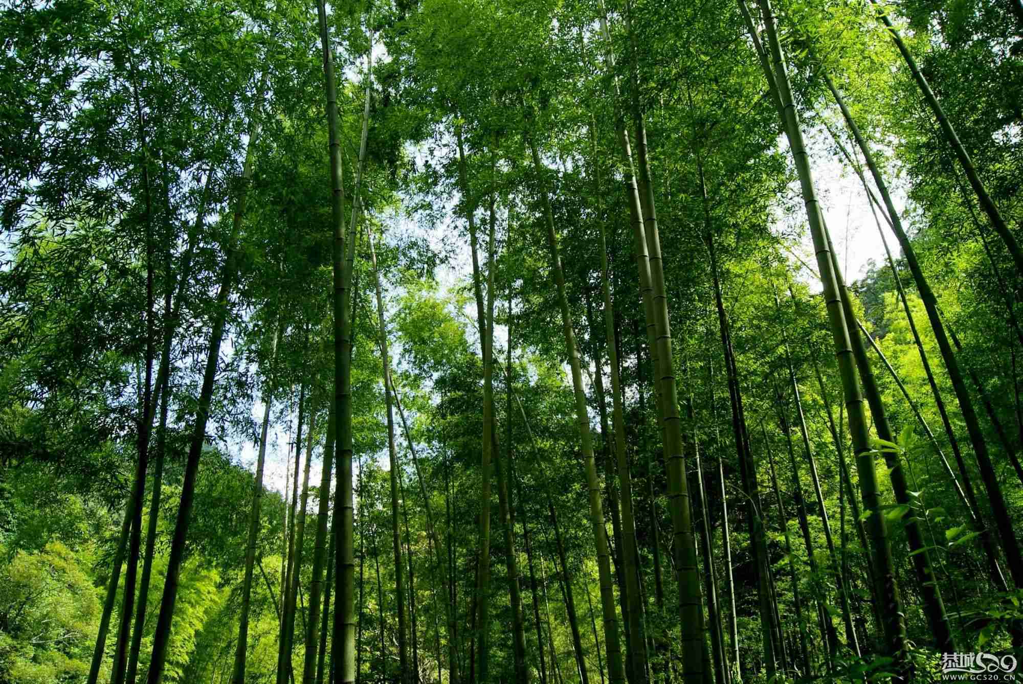 瑶乡风景-----三江乡(照片有更新)533 / 作者:晨锘 / 帖子ID:565