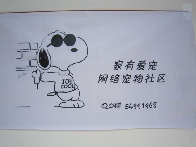 恭城平乐大型户外活动成功落幕923 / 作者:成 成 / 帖子ID:716