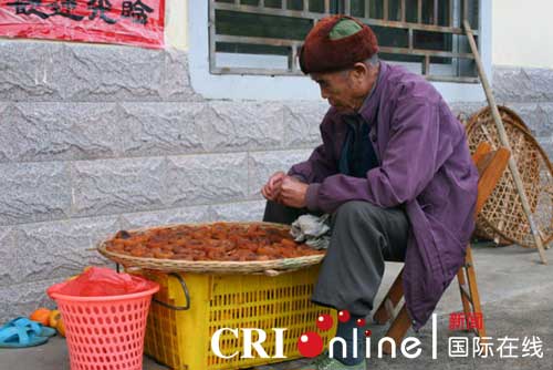 广西恭城红岩村的致富路：从种月柿到办农家乐799 / 作者:竹笋 / 帖子ID:908