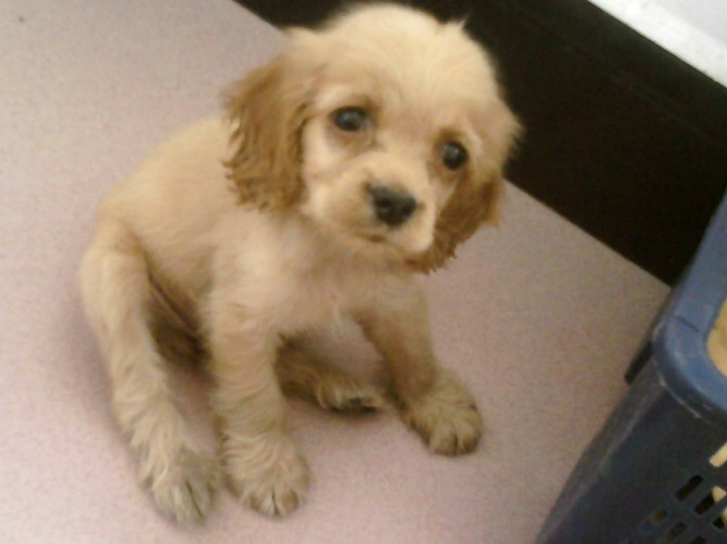 我家发财的成长。。。。(～ o ～)~zZ504 / 作者:尐潴潴 / 帖子ID:1117