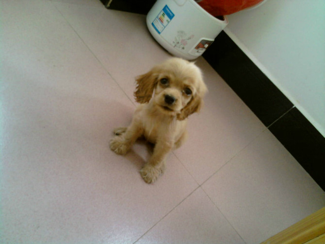 我家发财的成长。。。。(～ o ～)~zZ132 / 作者:尐潴潴 / 帖子ID:1117