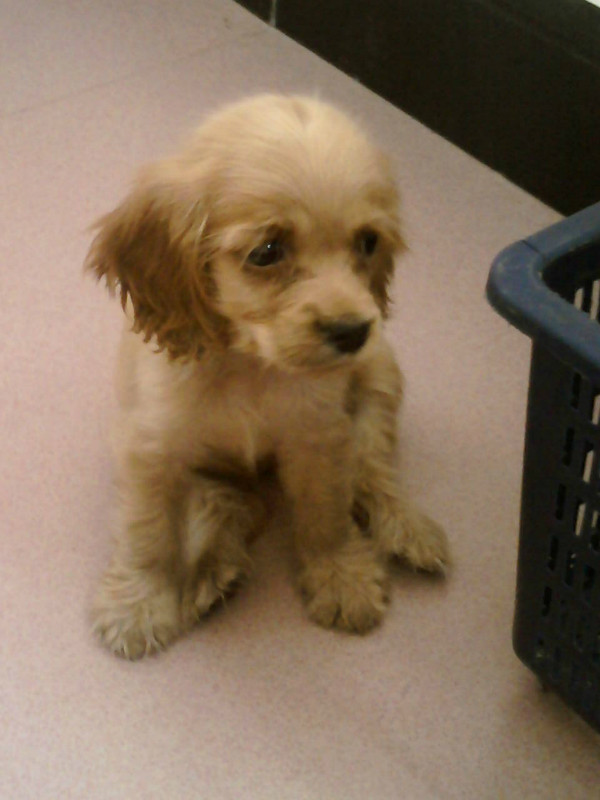 我家发财的成长。。。。(～ o ～)~zZ926 / 作者:尐潴潴 / 帖子ID:1117