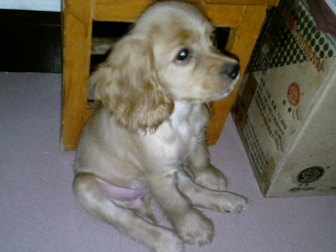 我家发财的成长。。。。(～ o ～)~zZ944 / 作者:尐潴潴 / 帖子ID:1117