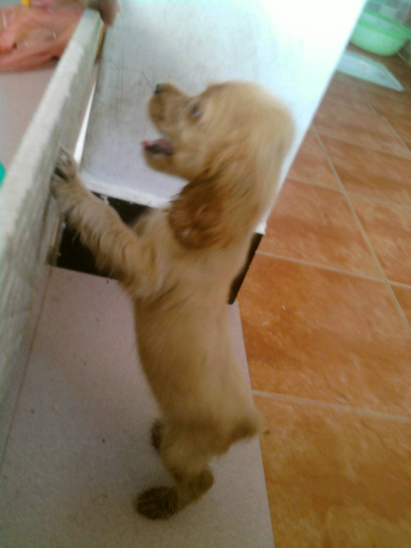 我家发财的成长。。。。(～ o ～)~zZ714 / 作者:尐潴潴 / 帖子ID:1117