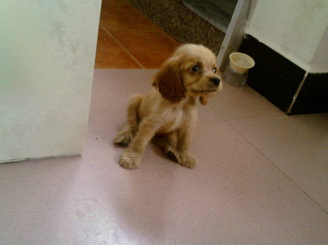 我家发财的成长。。。。(～ o ～)~zZ479 / 作者:尐潴潴 / 帖子ID:1117