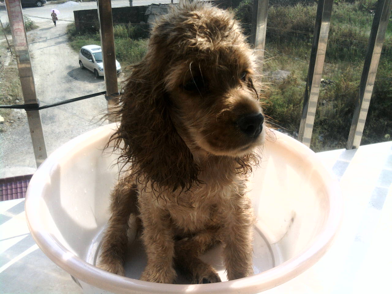 我家发财的成长。。。。(～ o ～)~zZ499 / 作者:尐潴潴 / 帖子ID:1117