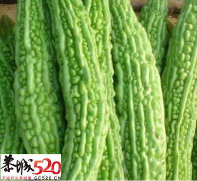 恭城特色菜--酿苦瓜559 / 作者:峦峦圈 / 帖子ID:1252