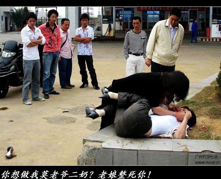 我打死你502 / 作者:平安大叔 / 帖子ID:1344