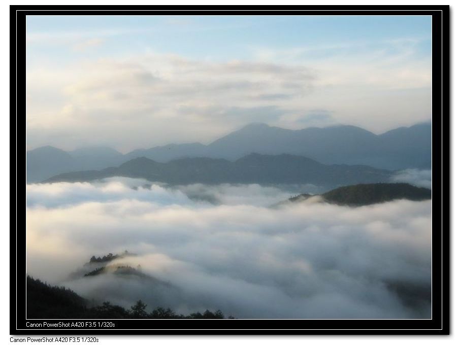 我上班的地方，春天时候的风景918 / 作者:千里之外 / 帖子ID:214