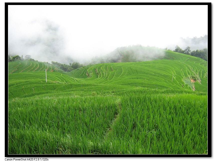 我上班的地方，春天时候的风景365 / 作者:千里之外 / 帖子ID:214