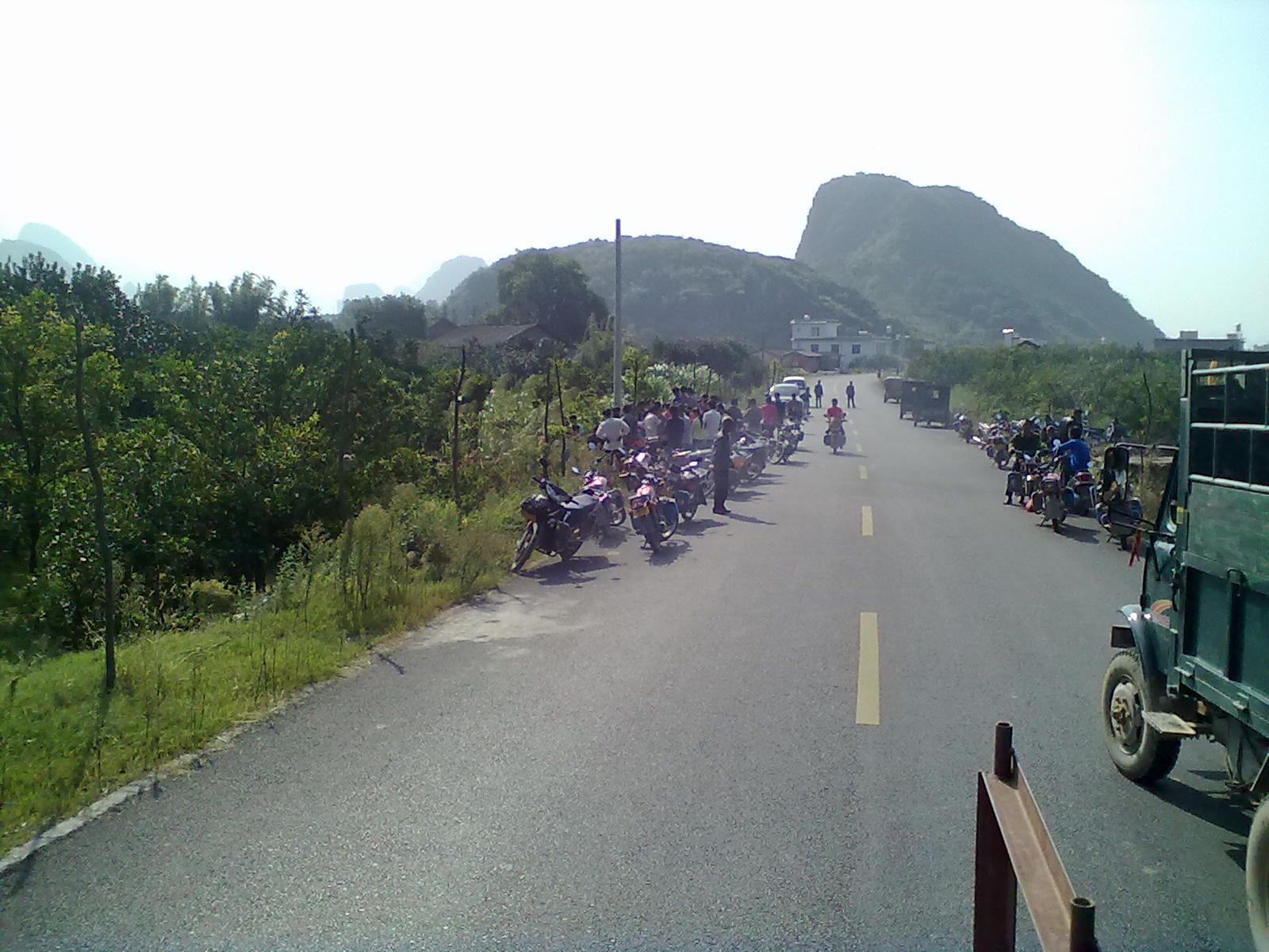 加会盘龙抓到的偷狗贼，在上图片63 / 作者:根本不服 / 帖子ID:1678