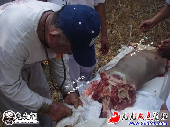 易作呕者勿进入：泰国剥皮食人肉现场460 / 作者:平安大叔 / 帖子ID:1723