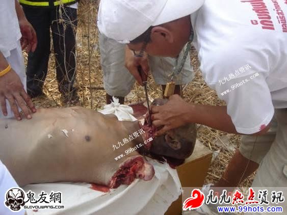 易作呕者勿进入：泰国剥皮食人肉现场313 / 作者:平安大叔 / 帖子ID:1723