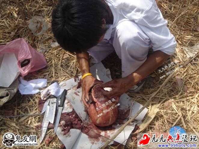 易作呕者勿进入：泰国剥皮食人肉现场859 / 作者:平安大叔 / 帖子ID:1723
